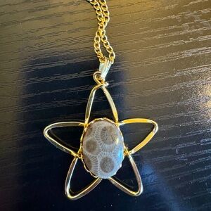 Vintage petoskey stone necklace.